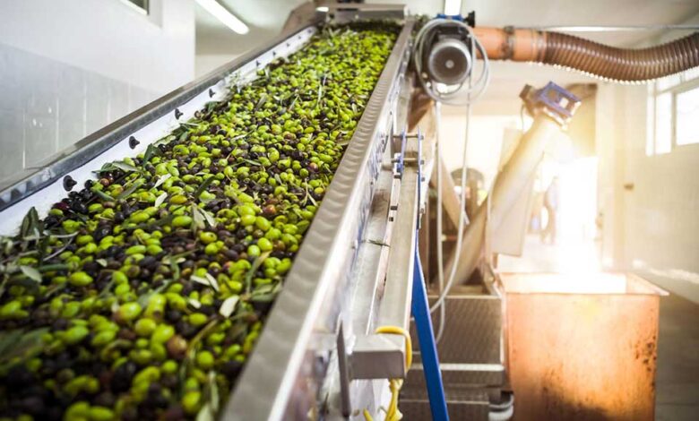 El sector agroalimentario incrementa su apuesta por las tecnologías más innovadoras para afrontar sus grandes desafíos
