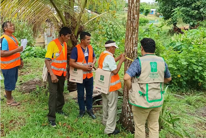 Titulares de productos no maderables de Madre de Dios reciben constancias de cumplimiento