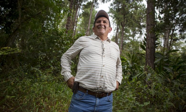 Día de la Preservación de los Bosques Tropicales: conoce el proyecto que busca proteger la reserva de Oxapampa