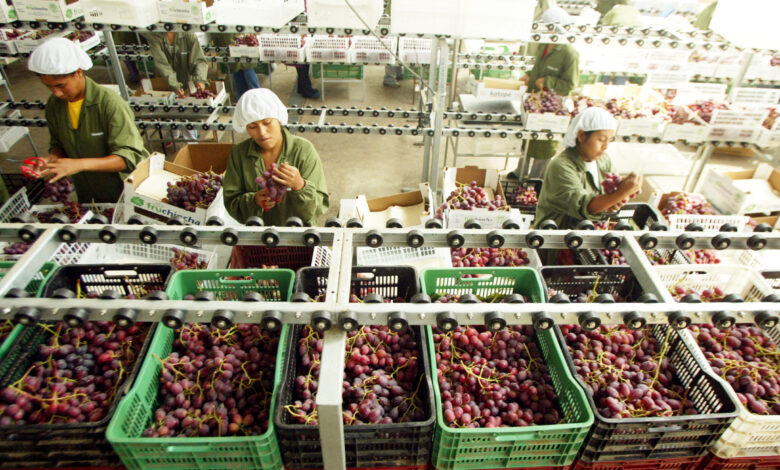Buscan impulsar exportación de frutas frescas y congeladas a Japón