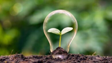 Tendencias de sostenibilidad en Latinoamérica: Fomentando un futuro más verde