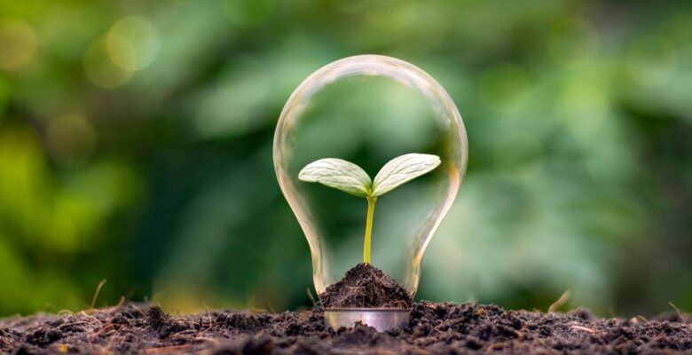 Tendencias de sostenibilidad en Latinoamérica: Fomentando un futuro más verde