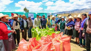 Productores agropecuarios de Celendín accederán a servicios especializados durante Caravana Multisectorial