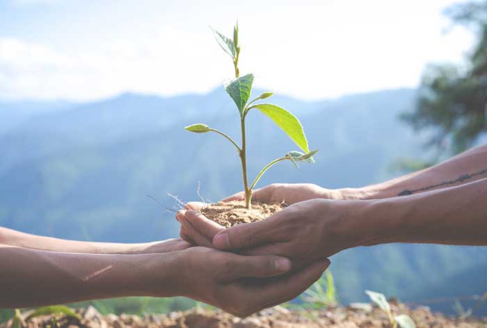 Día Mundial del Medio Ambiente: ¿Qué podemos hacer para cuidar mejor nuestro entorno?
