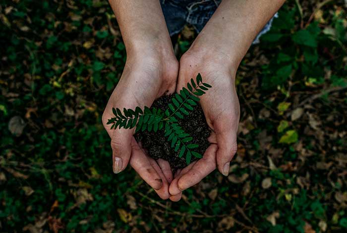 Scharff avanza hacia la sostenibilidad: celebra el Día Mundial del Medioambiente con un enfoque en la logística verde