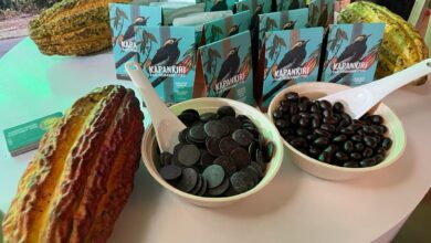 Cacao ecológico de comunidad nativa de Kirigueti del Bajo Urubamba destaca en feria internacional de Lima