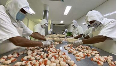 Implementación de nuevo reglamento de inocuidad fortalece la protección de los consumidores y la seguridad alimentaria