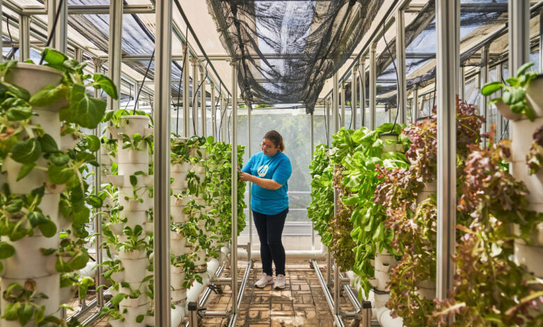 Estudio de HP revela el impacto de la crisis climática en las decisiones de los padres sobre el consumo, la educación de sus hijos, y el tamaño de la familia