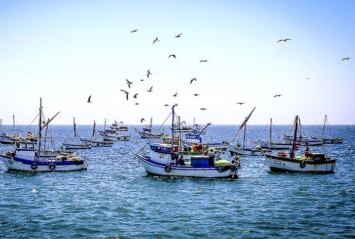 Sanipes destaca labor de miles de pescadores artesanales del país
