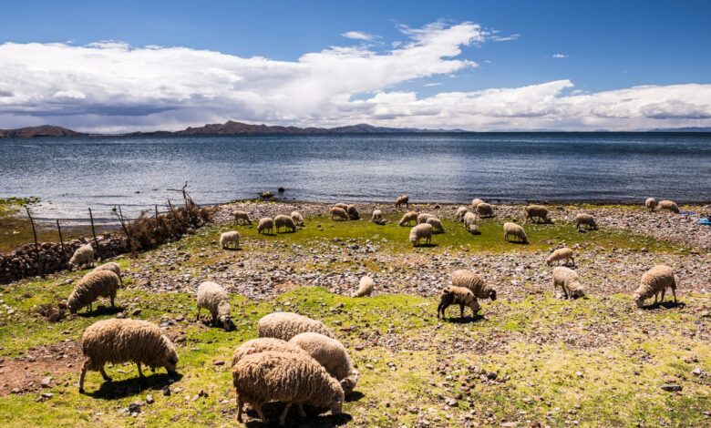 ¿Cómo adaptar las viviendas para combatir el frío del altiplano?