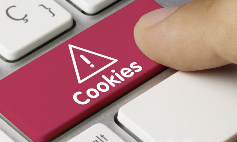Las cookies en páginas web: ¿debemos aceptarlas?