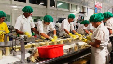 empleo exportador muestra signos de recuperación