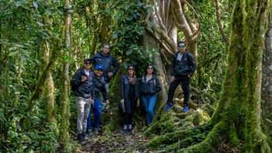 EPSON Perú refuerza su compromiso por la preservación de árboles en la Amazonía peruana