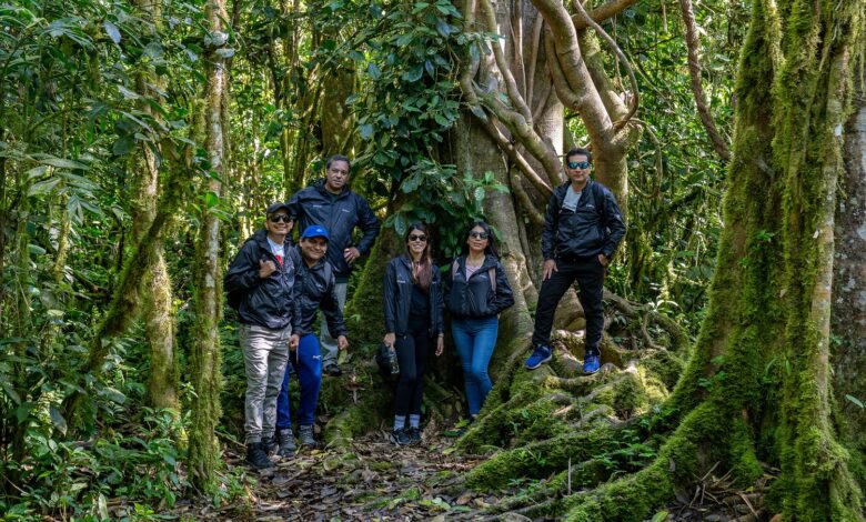 EPSON Perú refuerza su compromiso por la preservación de árboles en la Amazonía peruana