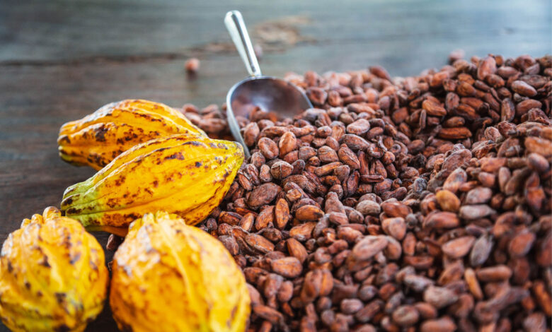 Inacal promueve estándares de calidad en la cadena de valor del café y cacao en Piura