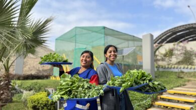 Cultivando esperanza y amor: Replican huerto hidropónico para niños necesitados