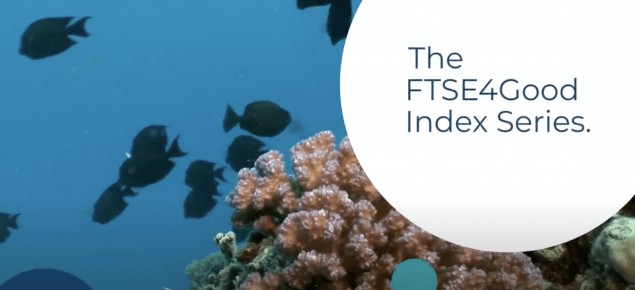 Epson ha sido incorporada a la serie de índices FTSE4Good por vigésimo año consecutivo
