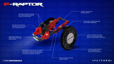 Ford P-Raptor: un vehículo pensado para las mascotas con movilidad limitada