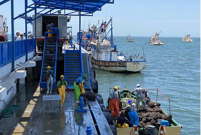 Sanipes impulsa la pesca artesanal para afrontar el fenómeno El Niño