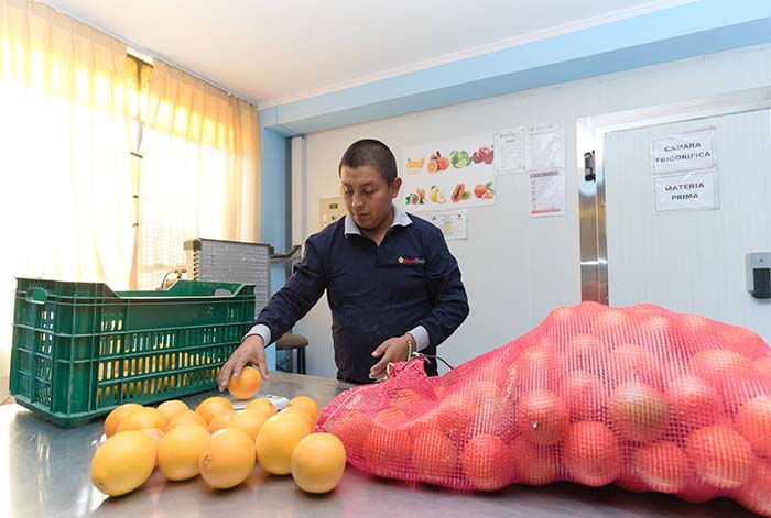 Sostenibilidad: Las buenas prácticas en la cadena de suministros