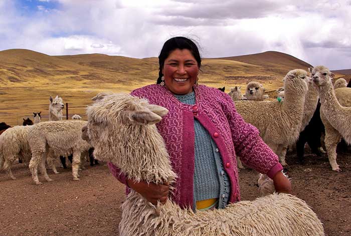Adex busca recuperar envíos al Exterior de productos de alpaca