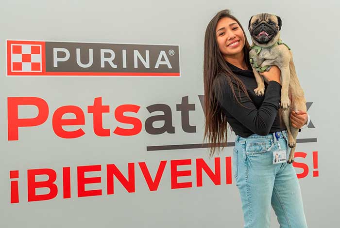 nestlé ofrece nuevo paquete de beneficios “pet friendly” para sus colaboradores