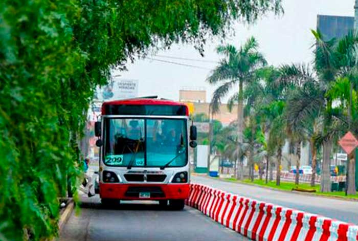 MTC: Usuarios de corredores ahorran 20 minutos en su tiempo de viaje al implementarse más de 10 km de carriles segregados en vías de buses