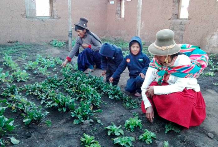 midagri: agro rural invierte más de 80 millones de soles para enfrentar las bajas temperaturas en las zonas altoandinas del país
