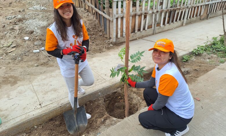 Primax en alianza con vecinos y autoridades realizan jornada de arborización en Villa El Salvador