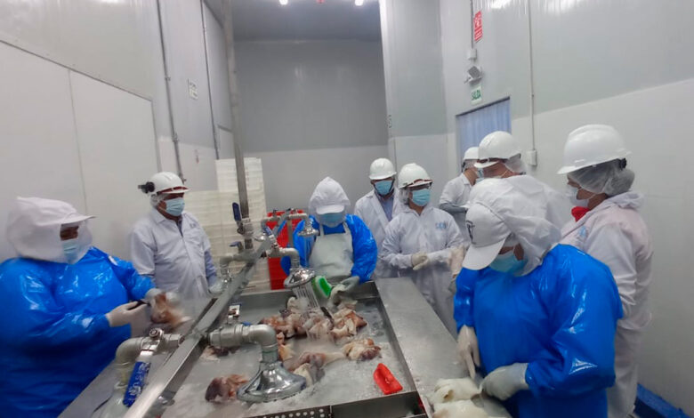 Productos del mar peruano continuarán siendo exportados a Corea