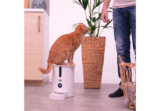 Fancy Pets