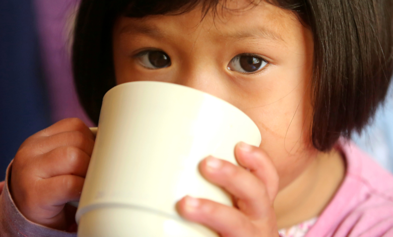 La problemática del hambre en el mundo y la lucha por erradicarla