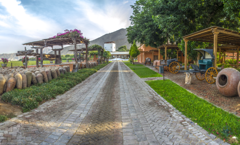 Hotel Viñas Queirolo, la joya del enoturismo, donde disfrutar de experiencias y hospitalidad de lujo en la región Ica en Perú.