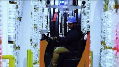 IceStar continúa creciendo en Latinoamérica: construirá planta en el sur de Chile