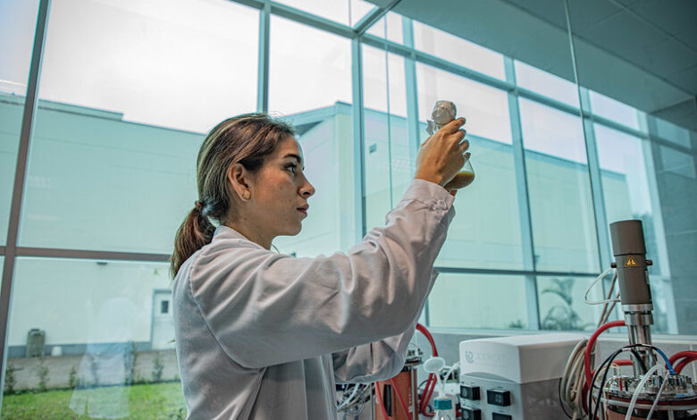 ¿Te apasiona la investigación y quieres llevar un doctorado en el extranjero? El Gobierno suizo ofrece becas para estudiar en dicho país