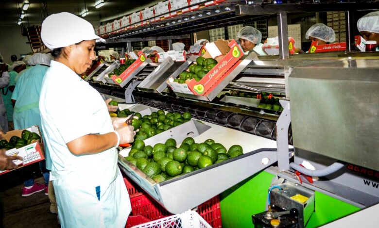  Es una región minera, pero el Gobierno Regional busca incrementar la exportación de productos del sector agro por lo que promueve la participación de sus empresas en la feria Expoalimentaria.