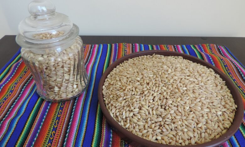 Qali Warma recibirá aportes a las especificaciones técnicas de alimentos con miras al servicio alimentario escolar 2024