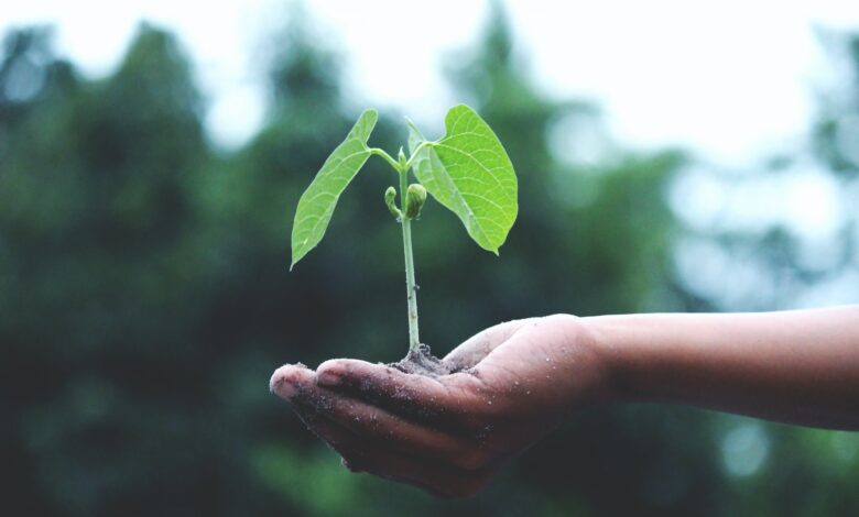 Cuatro prácticas ESG para las empresas