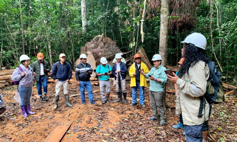 Con un modelo integral que articula tecnología, aprendizaje y mercado, el OSINFOR y Prevenir de USAID optimizan la gestión forestal en la Amazonía