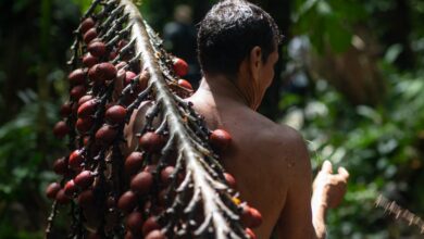 Loreto: Más de 13 mil personas de 120 comunidades indígenas desarrollan bionegocios para la sostenibilidad