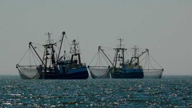 Temporada de incertidumbre para la pesca de anchoveta