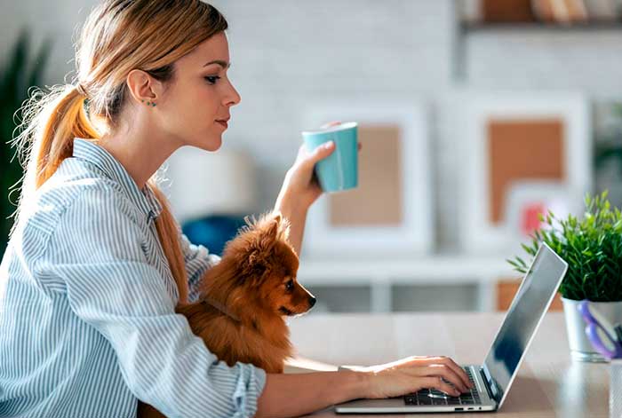 Cuando las teclas conectan: el valor del salario emocional en el espacio de trabajo híbrido
