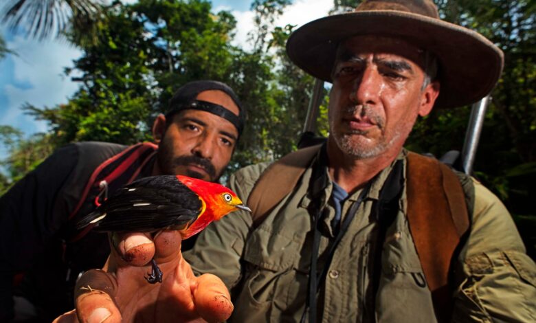 PCS brinda opinión favorable al Tercer Programa de Instrumentos de Corto Plazo Sostenibles de Bosques Amazónicos en Perú
