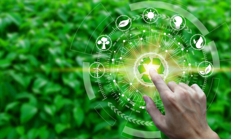 Los consumidores con conciencia ecológica vuelven a crecer en América Latina tras dos años de declive