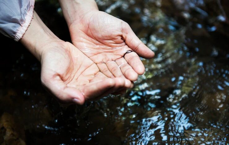 Consejos para el cuidado del agua: reflexiones en el día interamericano de la gestión responsable del agua