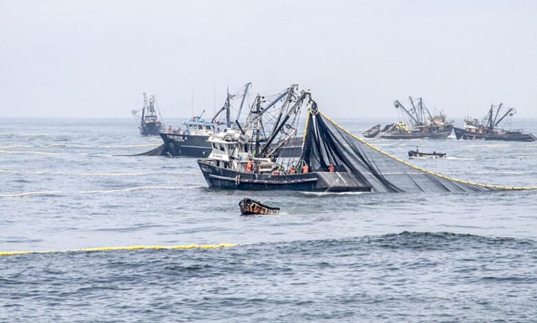 Malas perspectivas para la pesca primaria de exportación