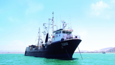 Austral Group: Mypes del sector pesquero también apuestan por ser empresas con gestión sostenible