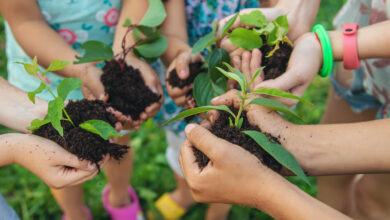 Inacal promueve normas técnicas peruanas para mejorar la calidad de vida de la población y el desarrollo sostenible en el país