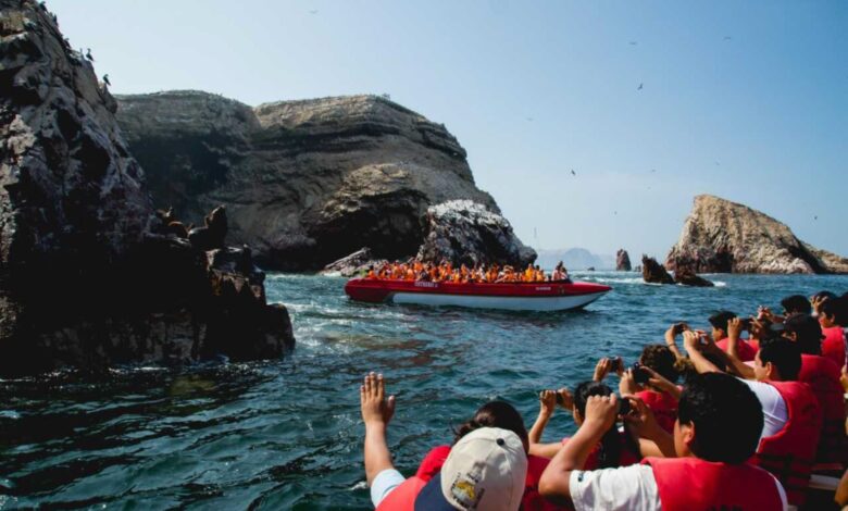 Turismo en Paracas: la Reserva Natural es el segundo destino más visitado del Perú
