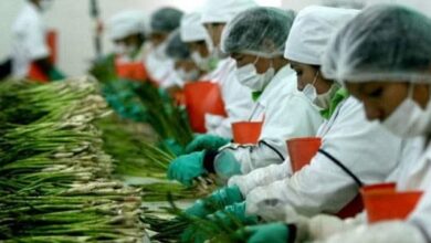 Producción nacional disminuyó en 0,63% en agosto de 2023